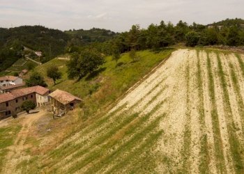 Rustic Cassinasco - photo 3