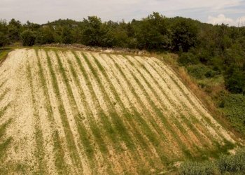 Rustic Cassinasco - photo 4