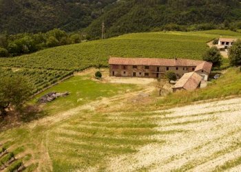 Rustico Cassinasco - foto 5