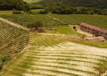 Rustico Cassinasco - foto 7