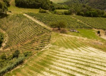 Rustico Cassinasco - foto 8