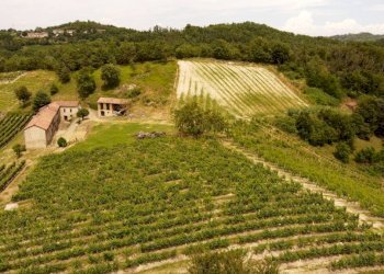Rustic Cassinasco - photo 10