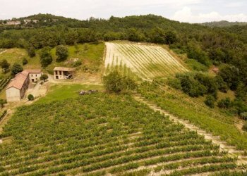 Rustico Cassinasco - foto 11