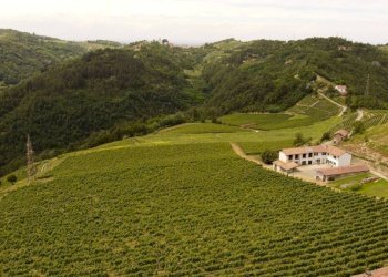 Rustico Cassinasco - foto 12