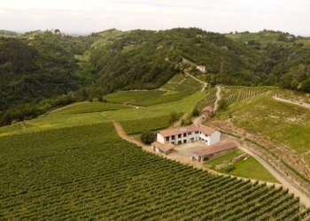 Rustic Cassinasco - photo 13