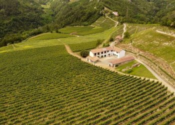 Rustico Cassinasco - foto 14