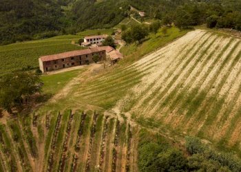 Rustico Cassinasco - foto 16