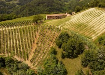 Rustic Cassinasco - photo 17