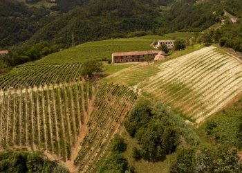 Rustic Cassinasco - photo 18