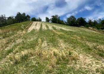 Rustico Cassinasco - foto 24