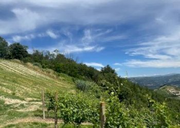 Rustico Cassinasco - foto 25