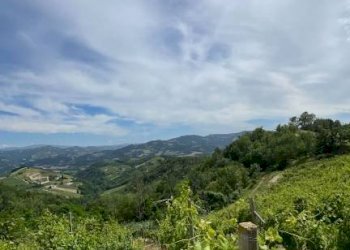 Rustico Cassinasco - foto 26