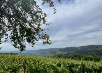 Rustic Cassinasco - photo 28