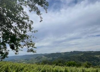 Rustico Cassinasco - foto 29