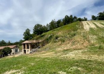 Rustico Cassinasco - foto 32