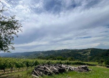 Rustico Cassinasco - foto 36