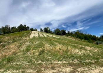 Rustico Cassinasco - foto 37