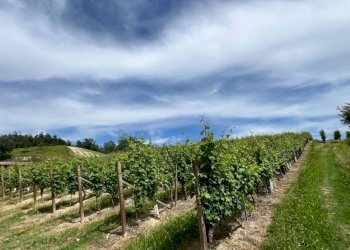 Rustico Cassinasco - foto 42