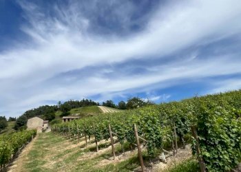 Rustico Cassinasco - foto 43