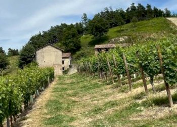 Rustico Cassinasco - foto 46