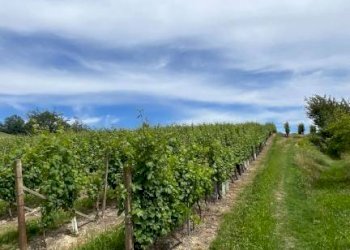 Rustico Cassinasco - foto 48