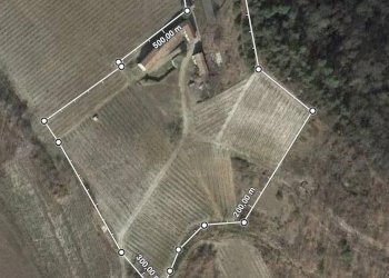 Rustico Cassinasco - foto 51