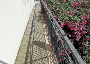 IMG_20240626_161902.jpg - Appartamento Scicli - foto 15