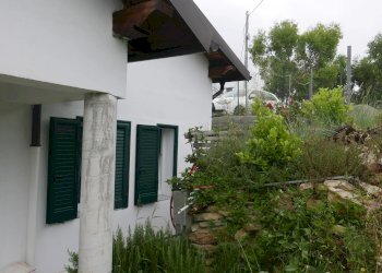 Villa VIA MANCIURINA, Vallebona - foto 4