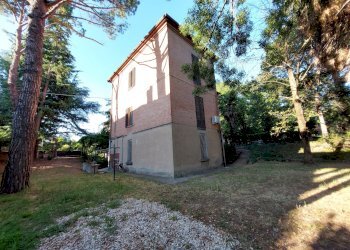 corte comune - Quadrilocale Via Goldoni, 11, Imola - foto 3