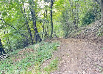 Rustico loc. Signoret, Torre Pellice - foto 20