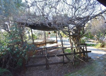 Single Family Villa Contrada Pianacciole, Ripatransone - photo 7