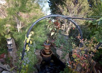 Single Family Villa Contrada Pianacciole, Ripatransone - photo 13