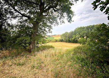 Rustico contrada montefiore, Recanati - foto 7