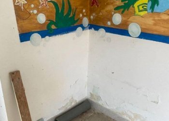 dettaglio - Villa piazza Santa Maria di Viurso, 1, Carmagnola - foto 25