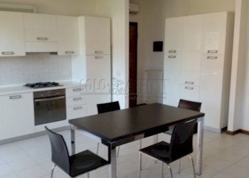 107.jpg - Appartamento Via Oslavia 11, Legnago - foto 2