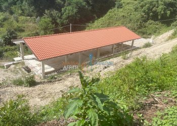 WhatsApp Image 2024-07-03 at 13.05.14 (15).jpeg - Casa indipendente Via delle Grazie 8, Massa - foto 15