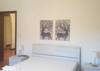 WhatsApp Image 2024-04-16 at 18.21.25 (1).jpeg - Appartamento Fornovo di Taro - foto 11