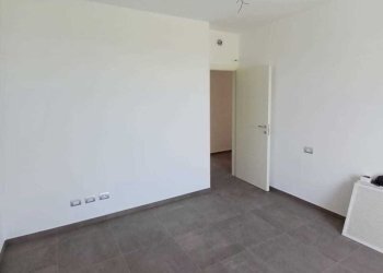 WhatsApp Image 2025-06-03 at 16.05.12.jpeg - Trilocale Medesano - foto 12