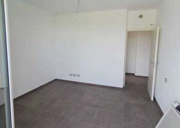 WhatsApp Image 2025-06-03 at 16.05.14.jpeg - Trilocale Medesano - foto 14