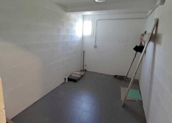 WhatsApp Image 2025-06-03 at 16.08.47 (1).jpeg - Trilocale Medesano - foto 24