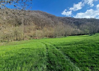 Rustico Frazione Madonna Oriente, Snc, Sanfront - foto 4