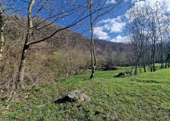 Rustico Frazione Madonna Oriente, Snc, Sanfront - foto 5