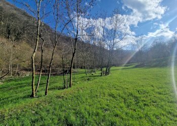 Rustico Frazione Madonna Oriente, Snc, Sanfront - foto 8