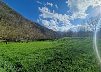 Rustico Frazione Madonna Oriente, Snc, Sanfront - foto 12