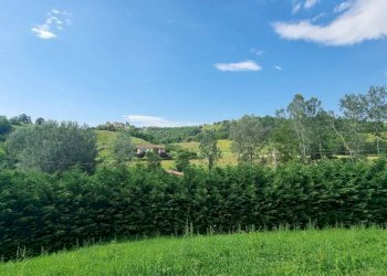 Vista - Rustic Nizza Monferrato - photo 19