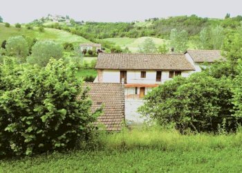 Vista - Rustic Nizza Monferrato - photo 15