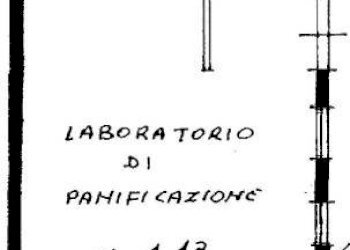 PLANIMETRIA - Negozio corso Vittorio Emanuele II, Modena (zona Centro Storico) - foto 2