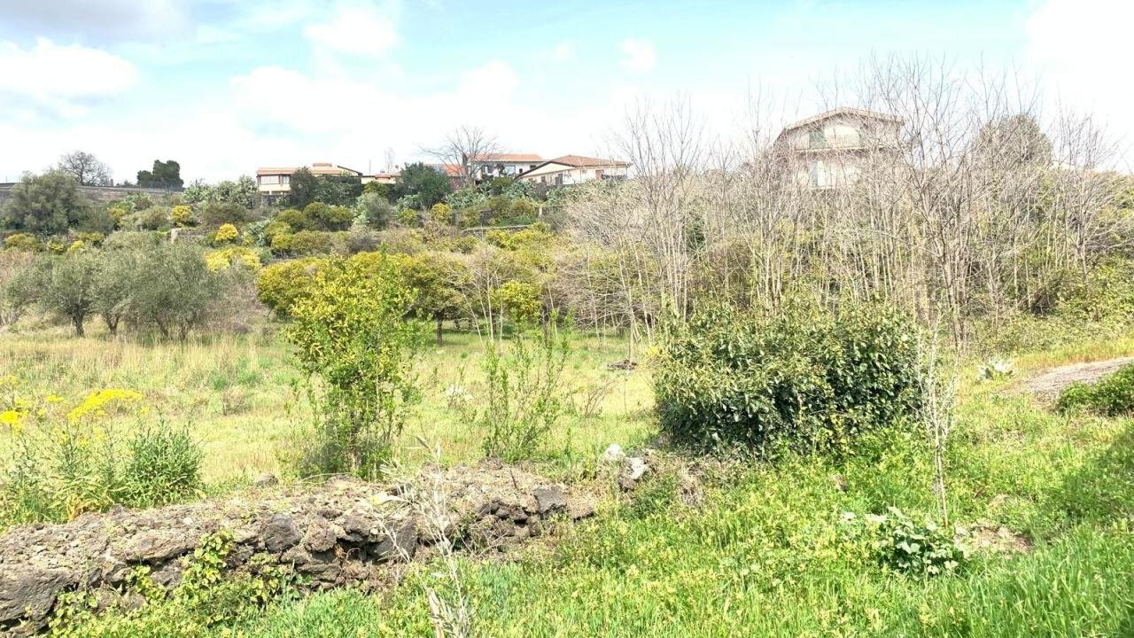 WhatsApp Image 2024-07-05 at 12.04.27.jpeg - Building land Mascalucia - photo 1