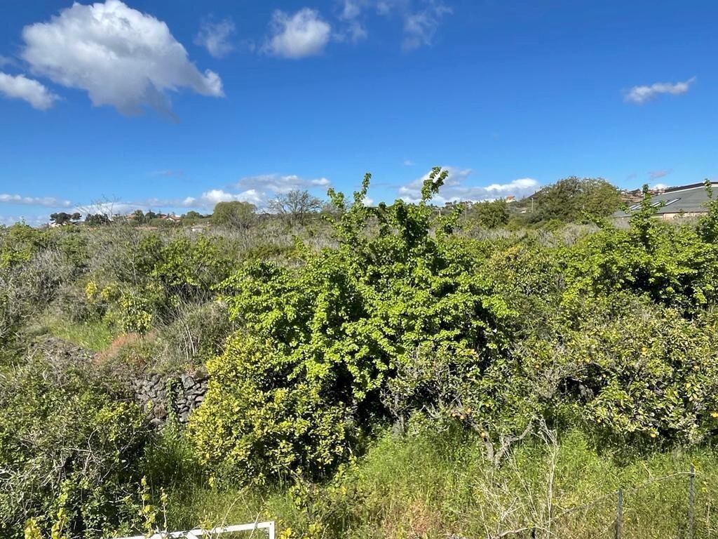 WhatsApp Image 2024-07-05 at 12.04.06.jpeg - Building land Mascalucia - photo 2