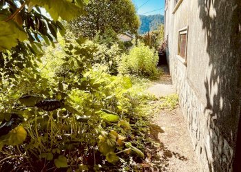 IMG_3808.jpg - Casa semi indipendente Arcola - foto 5